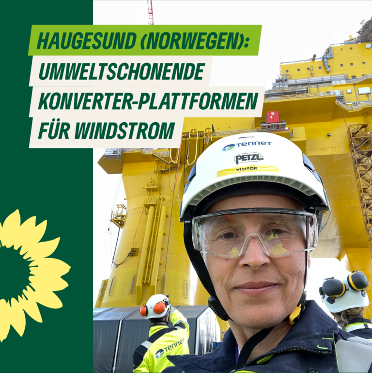 Die saubere Windenergie aus der Nordsee muss an Land transportiert werden.