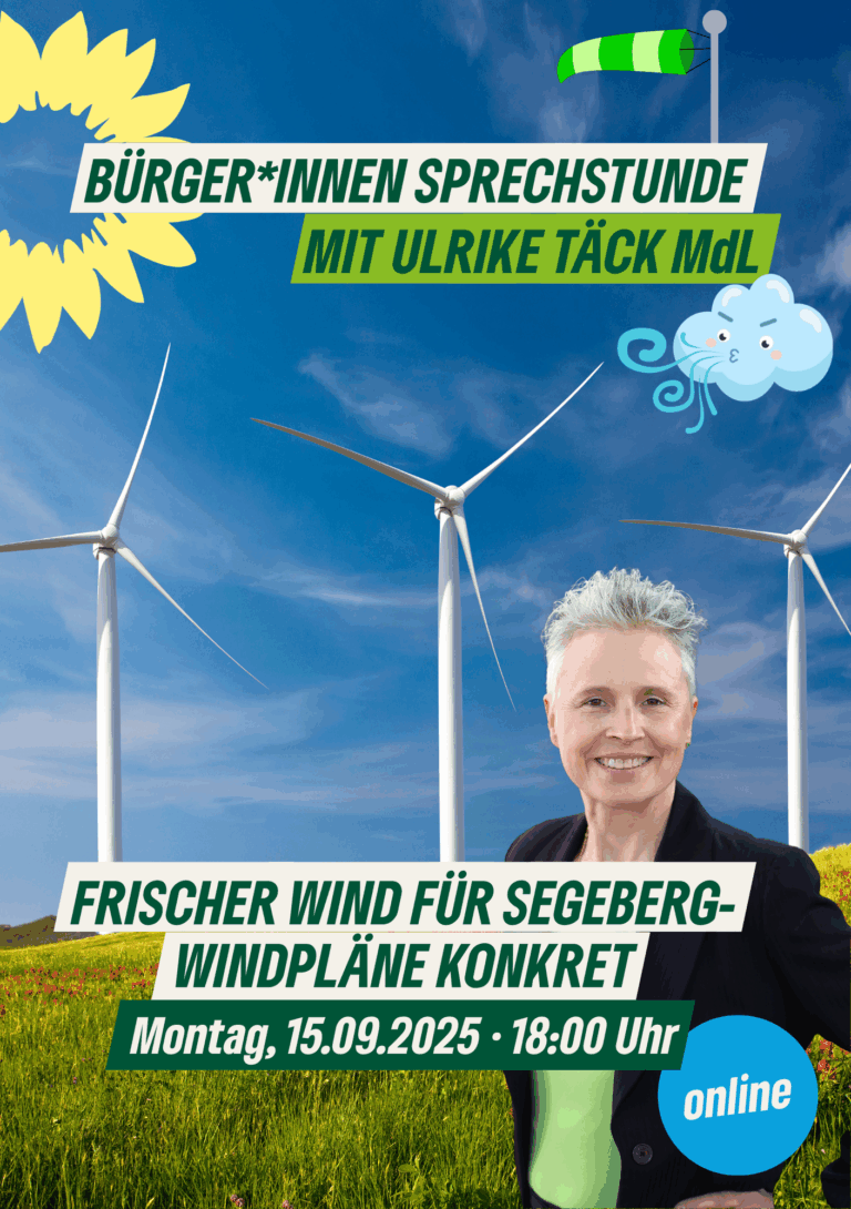 Frischer Wind für Segeberg – Windpläne konkret